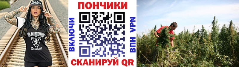 Бошки марихуана конопля Кедровый